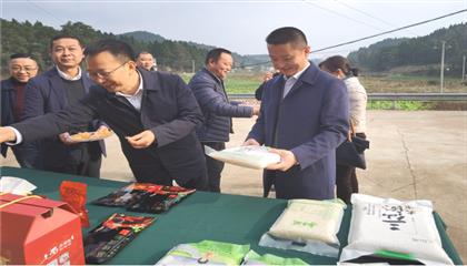 市委常委、政法委書(shū)記劉波濤帶隊(duì)調(diào)研指導(dǎo)定點(diǎn)幫扶村鄉(xiāng)村振興工作